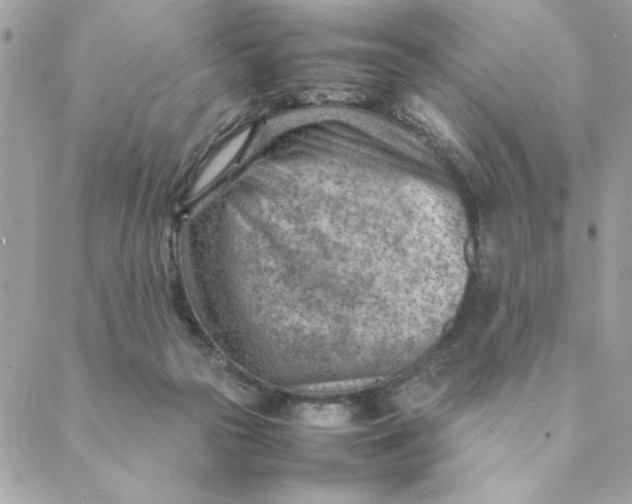 X0000088580169200706151720