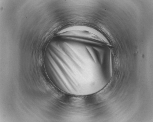 X0000088580170200706151720