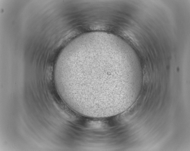 X0000088580171200706151720