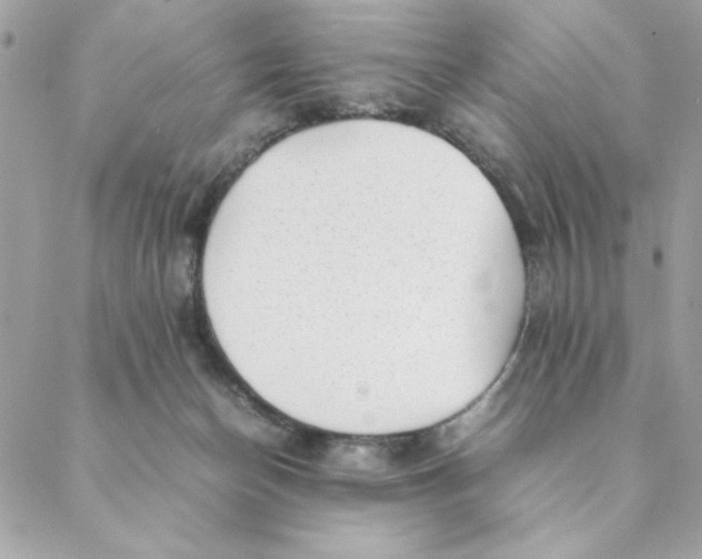 X0000088580174200706151720