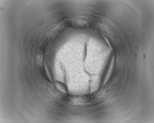 X0000088580177200706151720