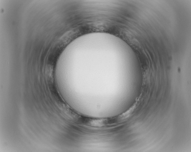 X0000088580178200706151720