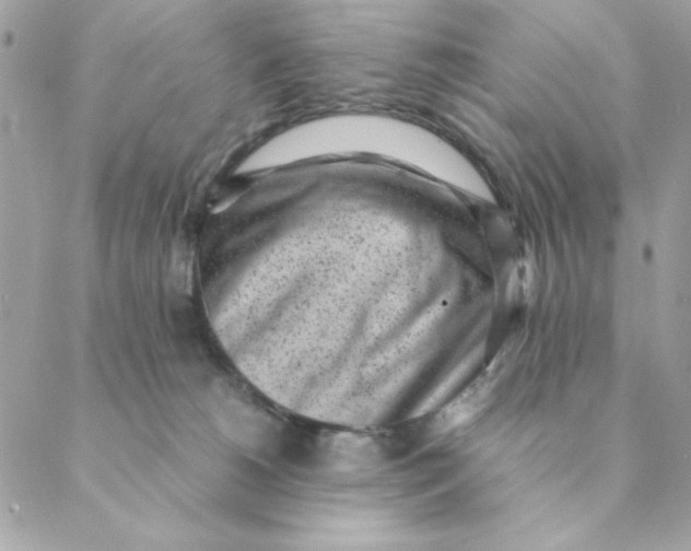 X0000088580180200706151720