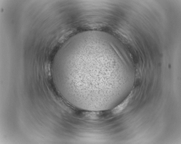 X0000088580182200706151720