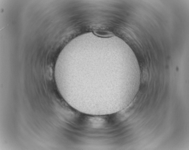 X0000088580183200706151720