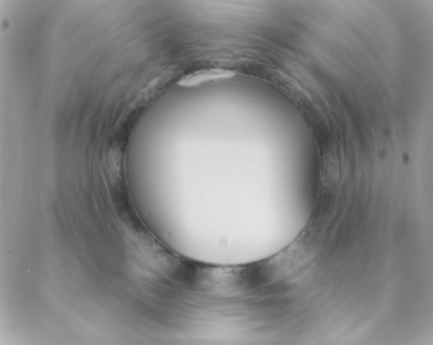 X0000088580184200706151720