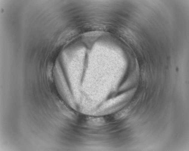 X0000088580185200706151720