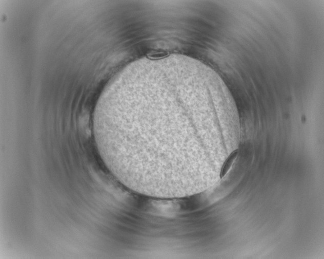 X0000088580187200706151720