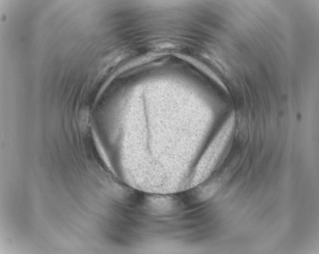 X0000088580189200706151721