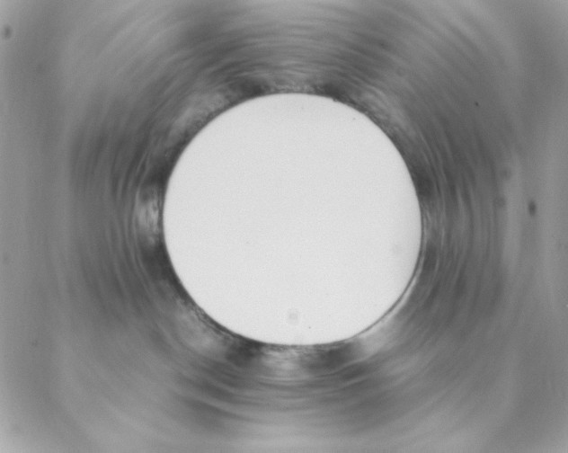 X0000088580190200706151721