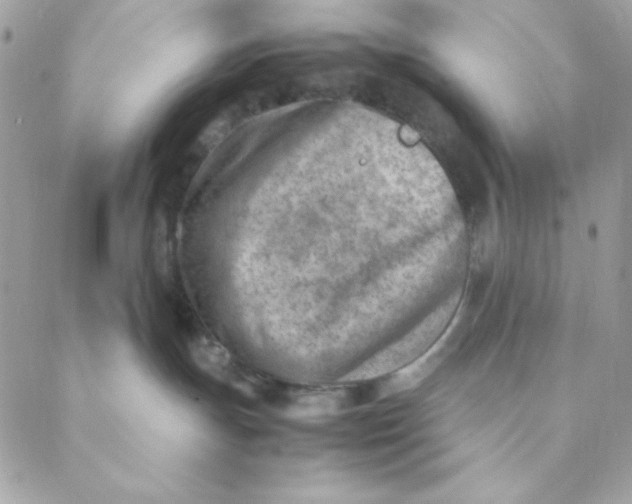 X0000088580191200706151721