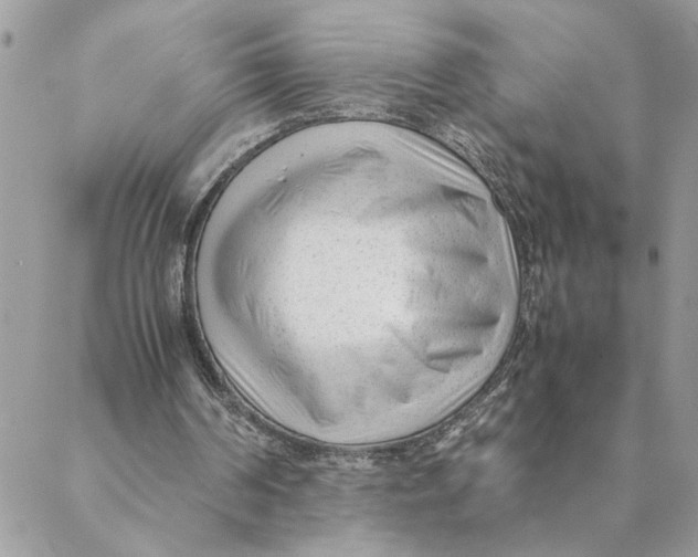 X0000088580194200706151720