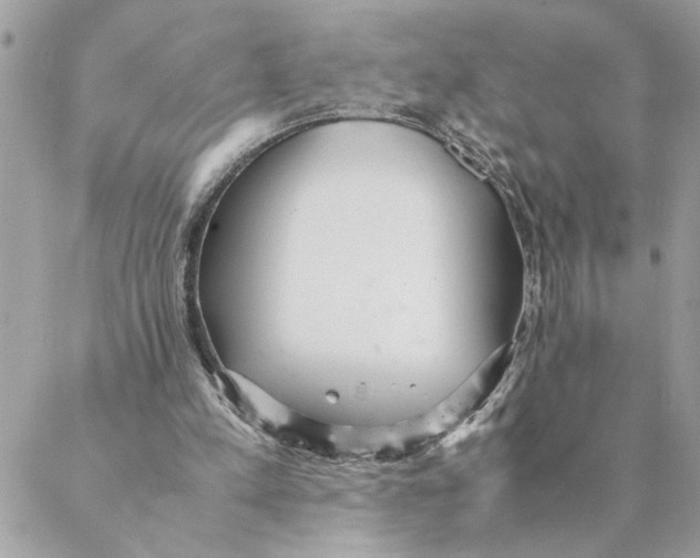 X0000088580197200706151720