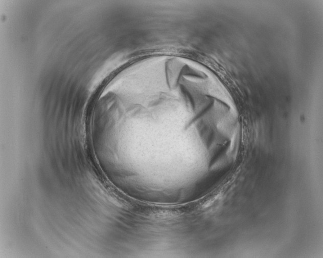 X0000088580198200706151720