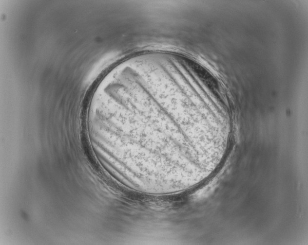 X0000088580199200706151720