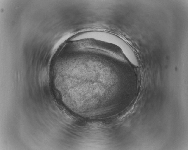 X0000088580200200706151720