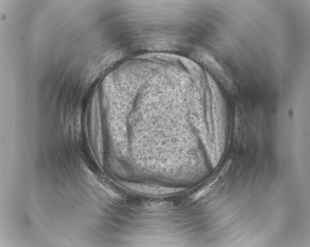 X0000088580202200706151720