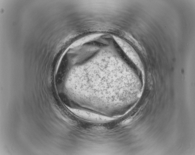 X0000088580203200706151720