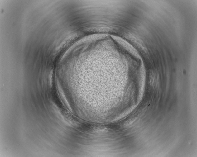 X0000088580206200706151720