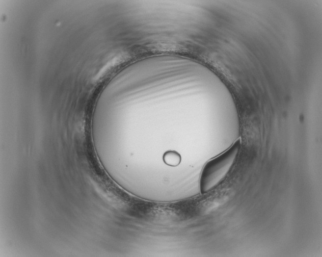 X0000088580207200706151720