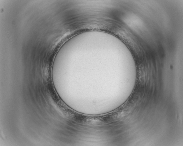 X0000088580208200706151720