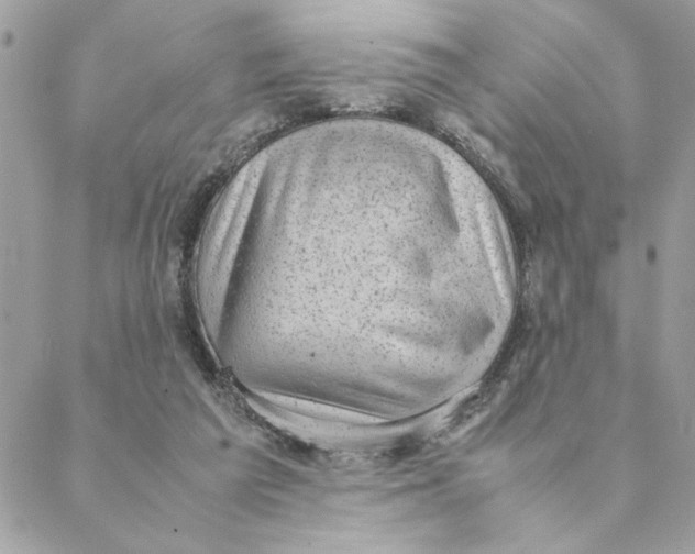 X0000088580209200706151720