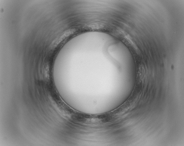 X0000088580212200706151719