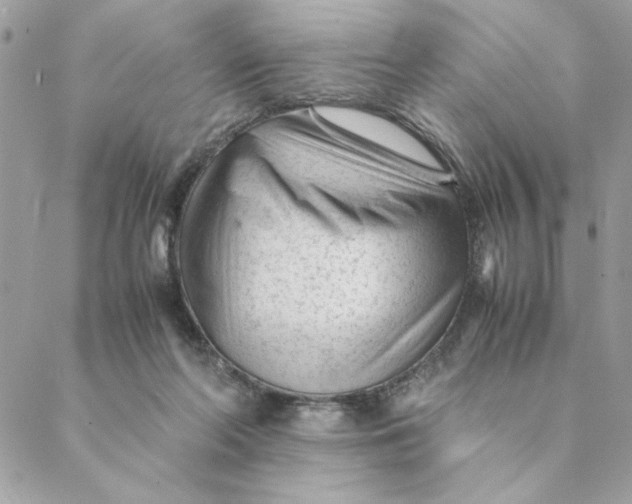 X0000088580214200706151719