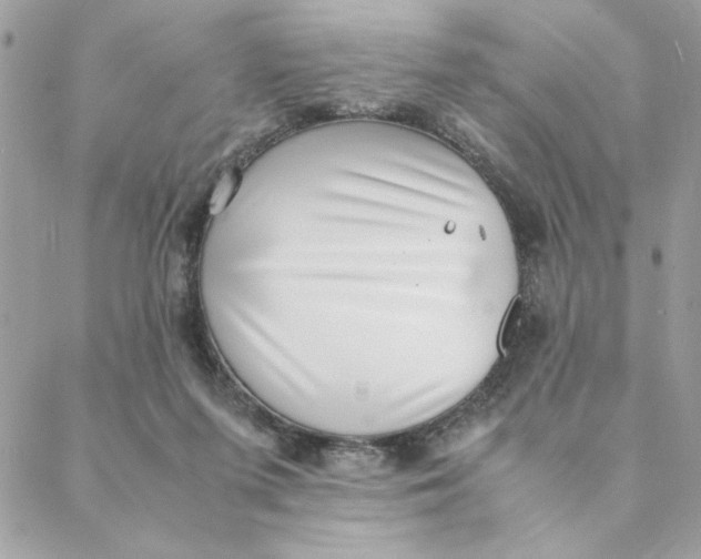 X0000088580215200706151719