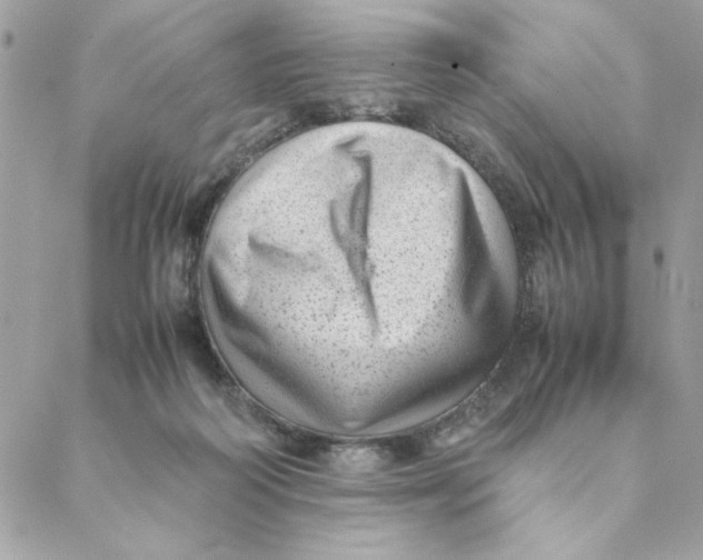 X0000088580218200706151719