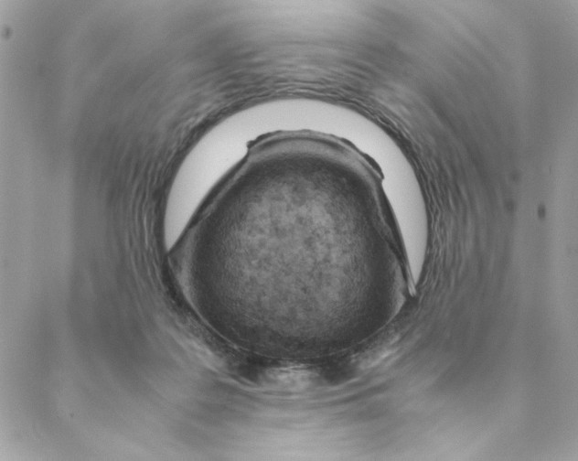 X0000088580219200706151719