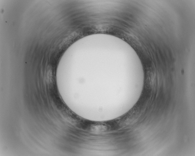 X0000088580220200706151719