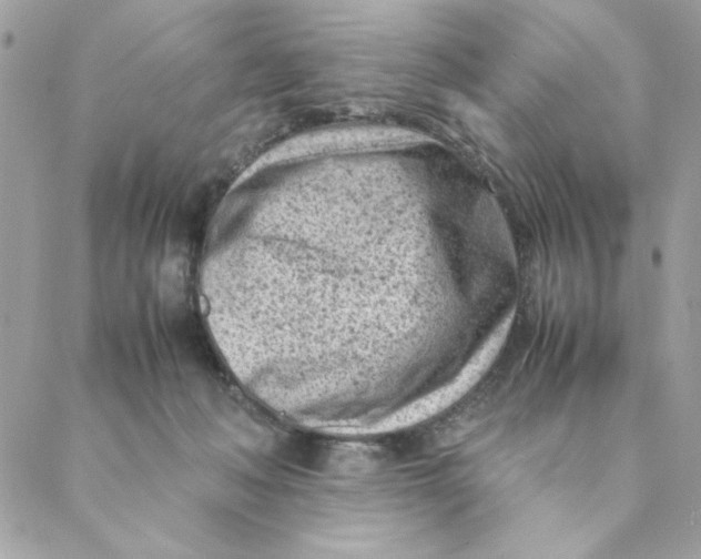 X0000088580222200706151719