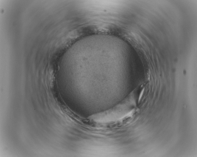 X0000088580223200706151719