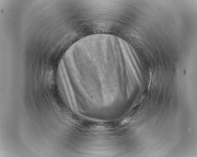 X0000088580224200706151719