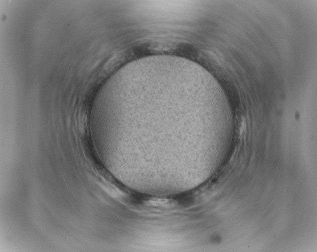 X0000088580227200706151719