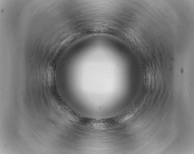 X0000088580228200706151719