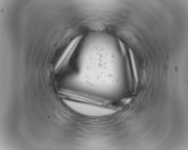 X0000088580229200706151719