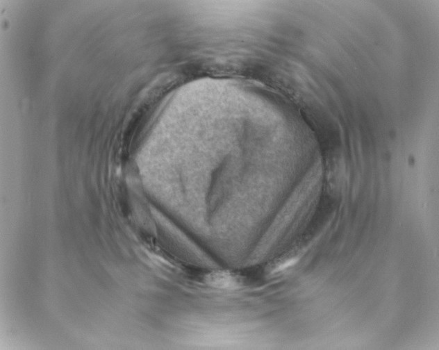 X0000088580231200706151719