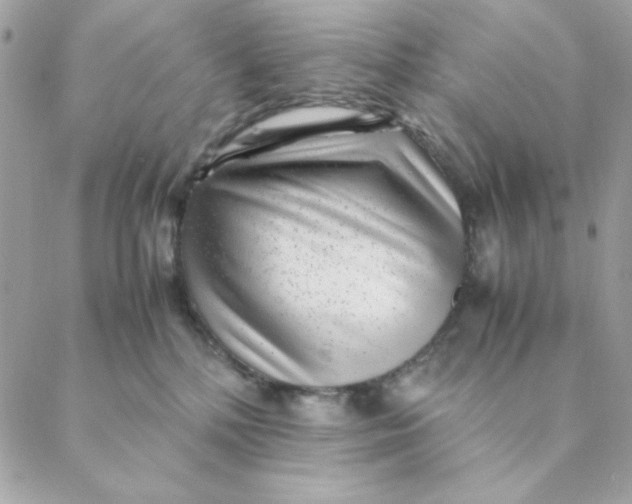 X0000088580232200706151719