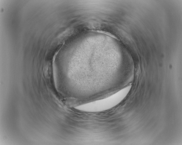 X0000088580233200706151719