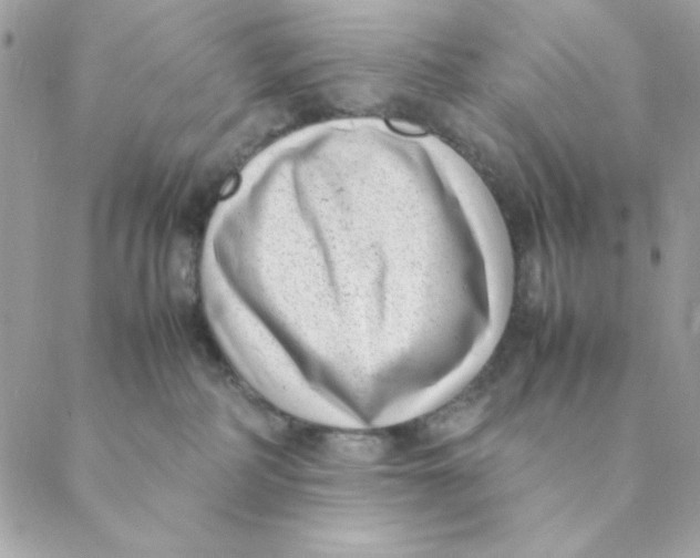 X0000088580234200706151719