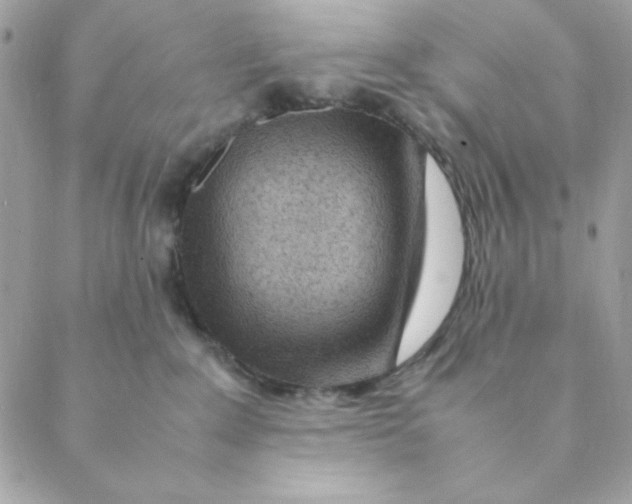 X0000088580235200706151719