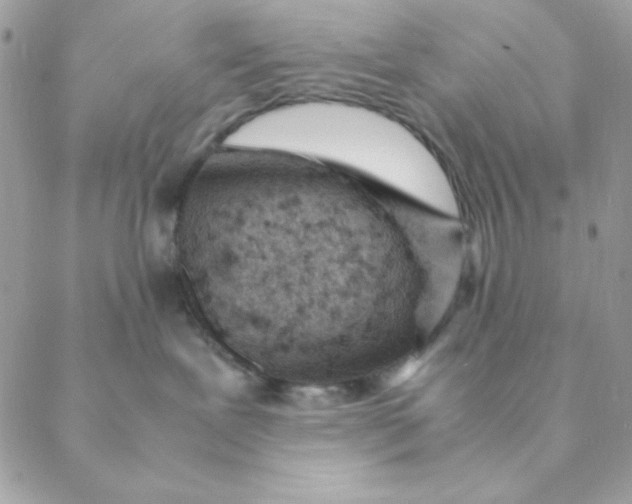 X0000088580239200706151719