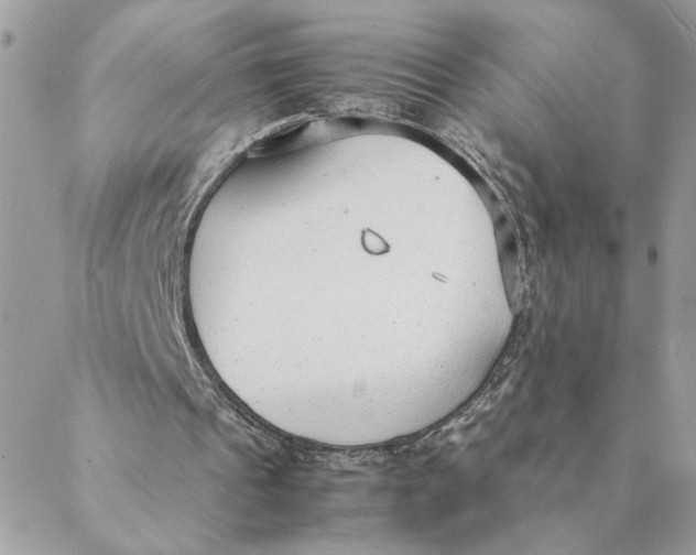 X0000088580241200706151718