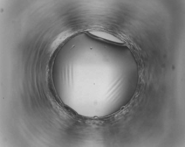 X0000088580242200706151718