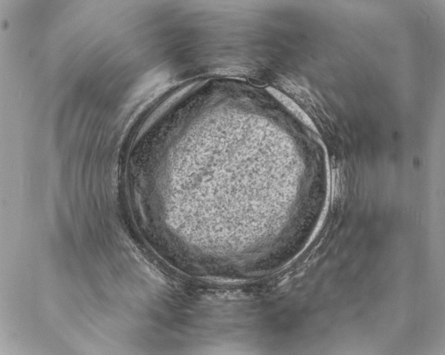 X0000088580243200706151718