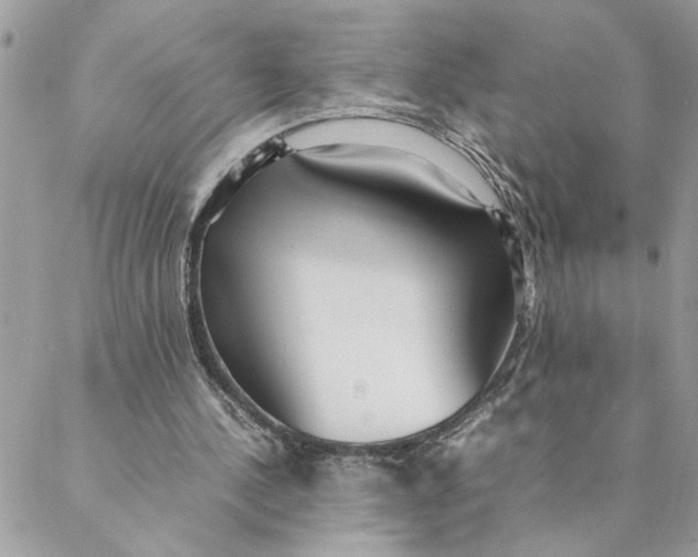 X0000088580244200706151718