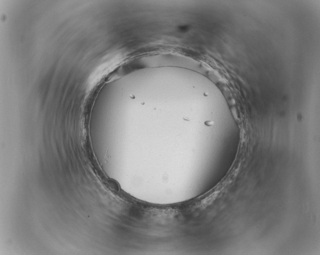 X0000088580245200706151718