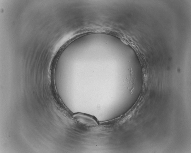 X0000088580246200706151718